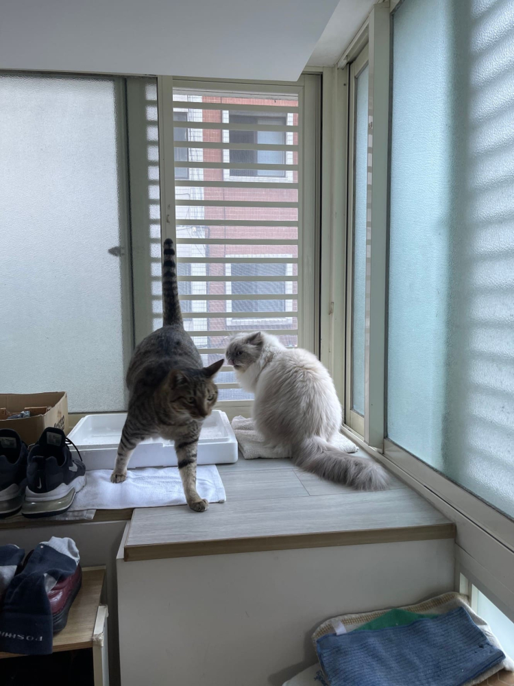 台北市 信義區 忠孝東路五段_公寓  林小姐(3)