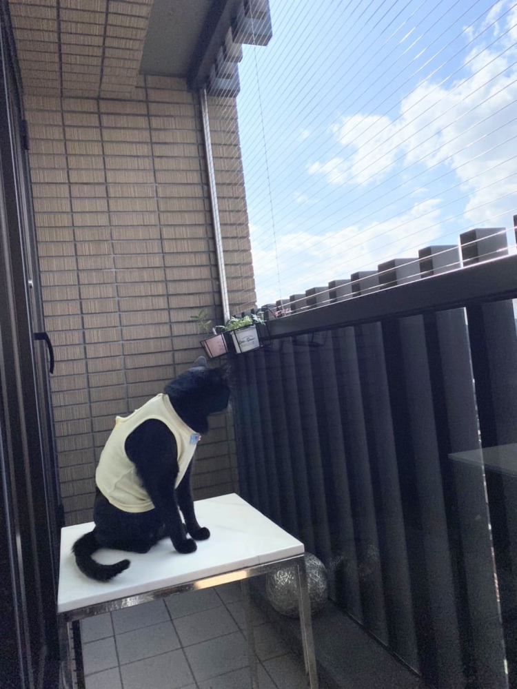 台北市 中山區 松江路_台北之冠  戴小姐