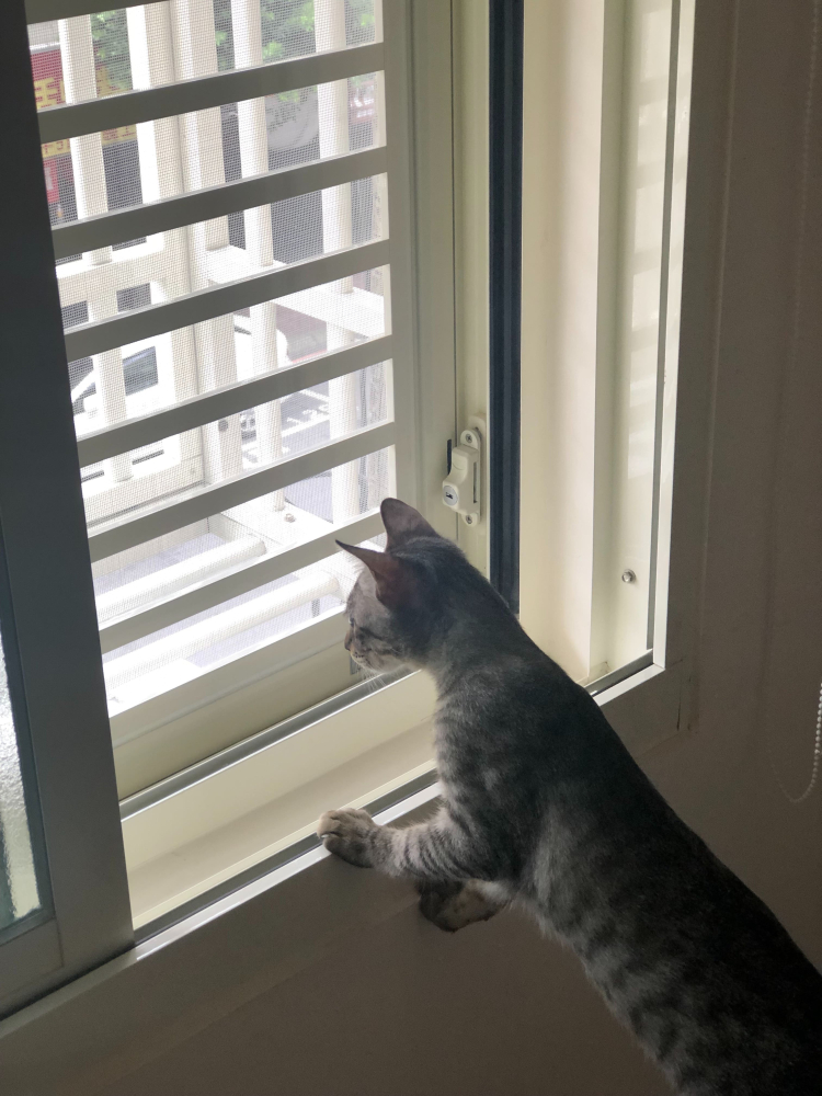 台北市 文山區 萬利街_電梯華廈  藍小姐