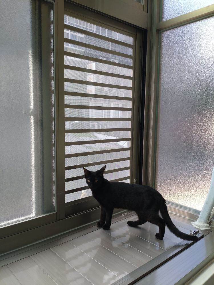 台北市 松山區 三民路_公寓  李小姐