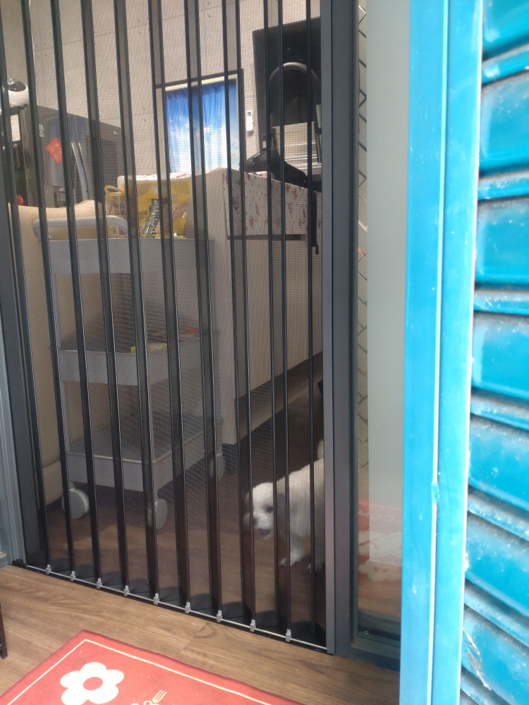 新北市 三重區 安慶街_公寓一樓  陳小姐(1)