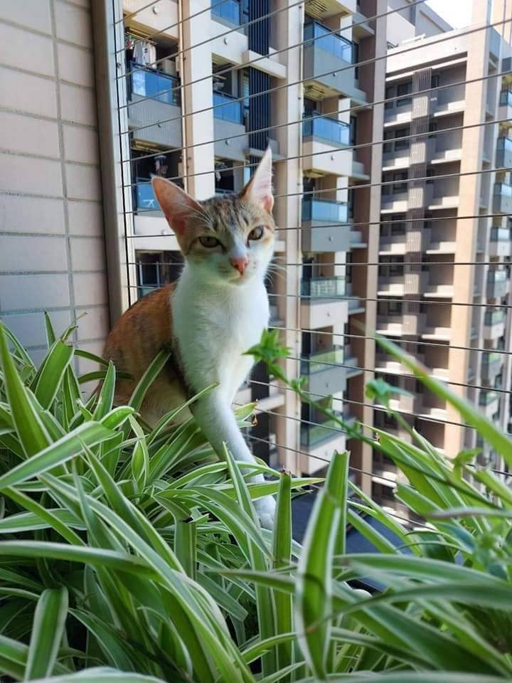 新北市 淡水區 新市三路_水悦