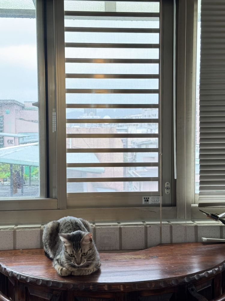 新北市 新莊區 中港路_五守新村  張先生