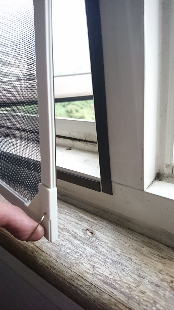 新北市 新莊區 瓊林路_薪桂築  葉小姐(2)