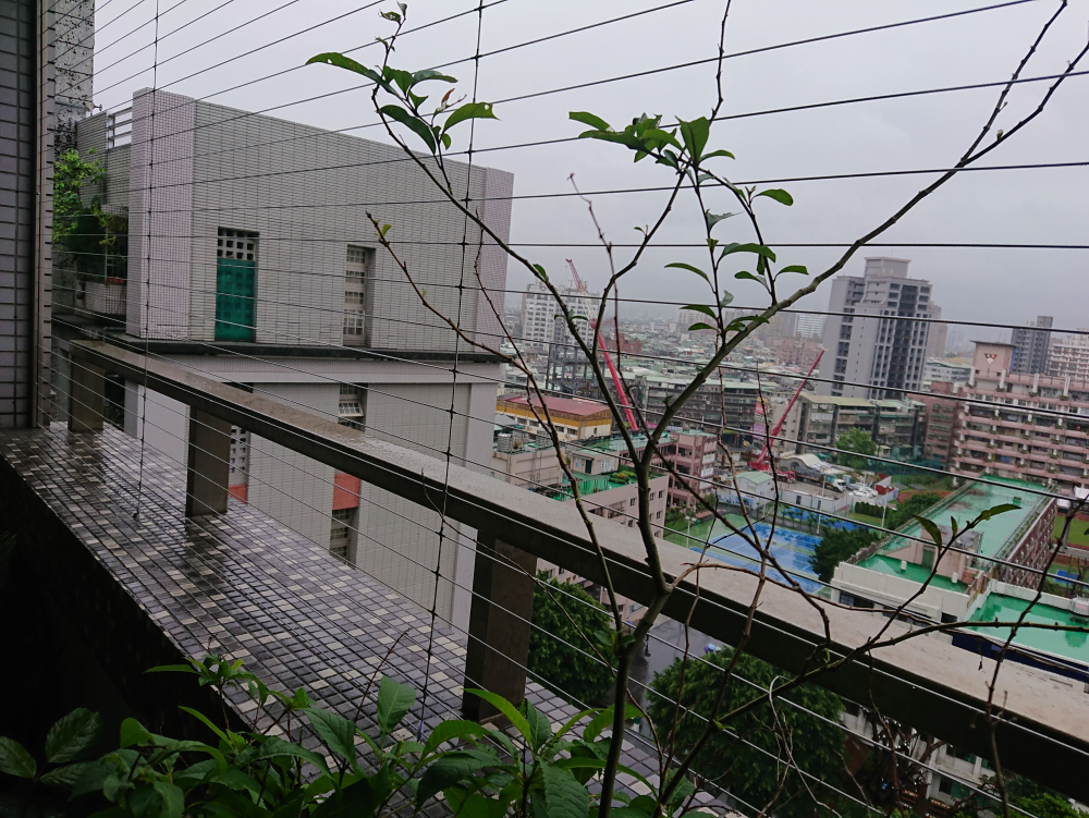 新北市 板橋區 文化路_健華新城  呂小姐