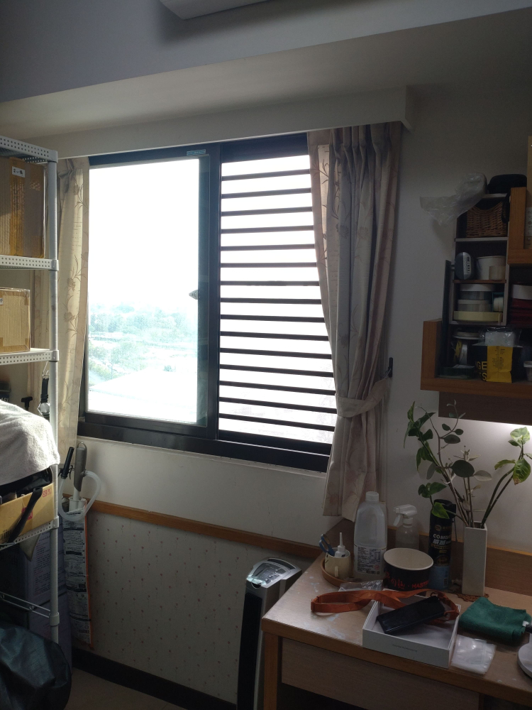 桃園市 中壢區 中園路_美麗歐洲  洪小姐(2)